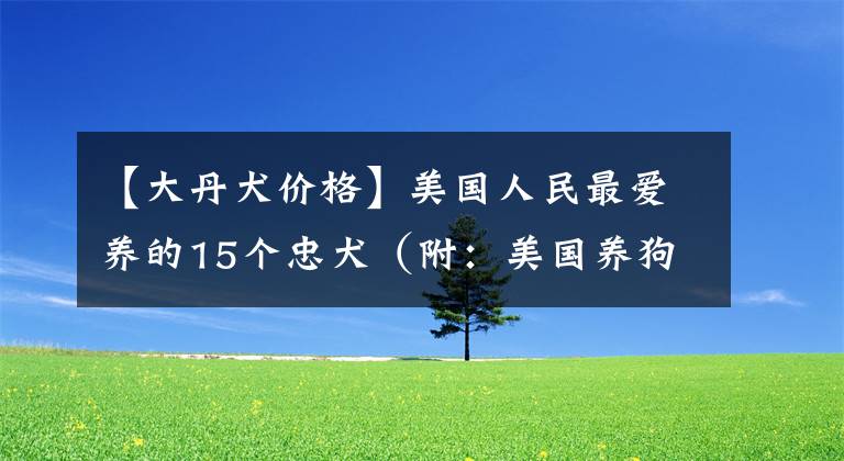 【大丹犬价格】美国人民最爱养的15个忠犬（附：美国养狗全攻略）