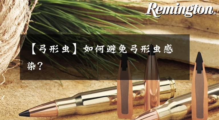 【弓形虫】如何避免弓形虫感染？