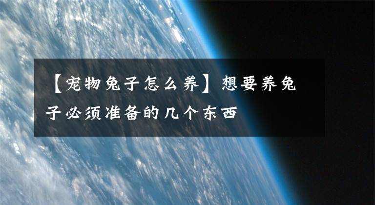 【宠物兔子怎么养】想要养兔子必须准备的几个东西