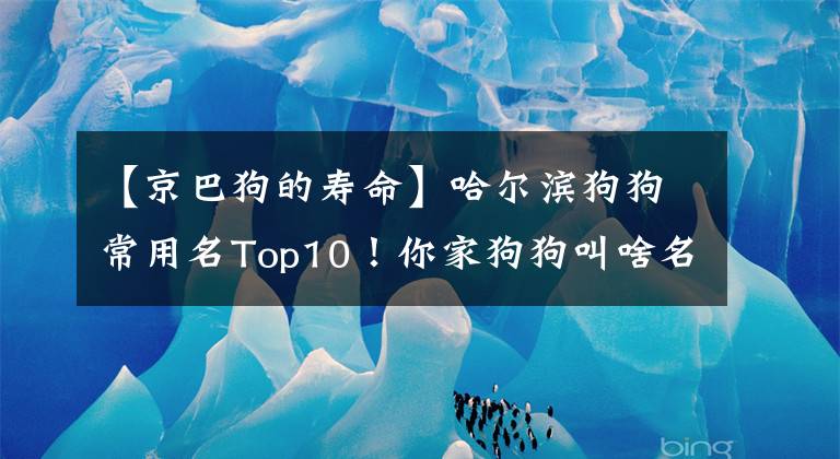 【京巴狗的寿命】哈尔滨狗狗常用名Top10！你家狗狗叫啥名？