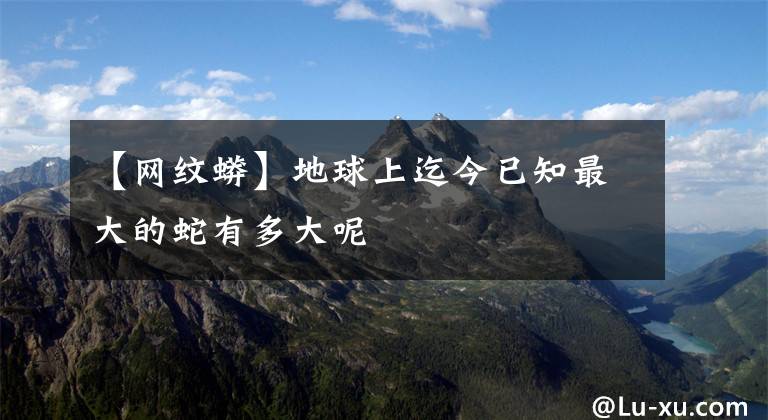 【网纹蟒】地球上迄今已知最大的蛇有多大呢