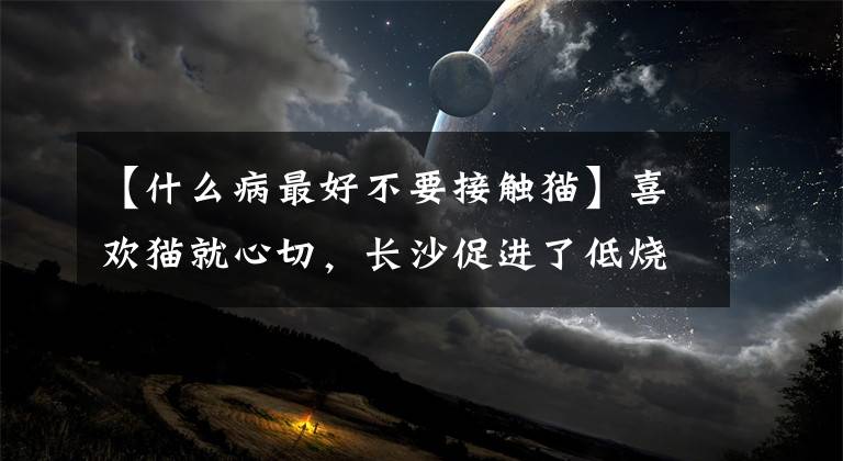【什么病最好不要接触猫】喜欢猫就心切，长沙促进了低烧和咳嗽，得了“抓猫病”。