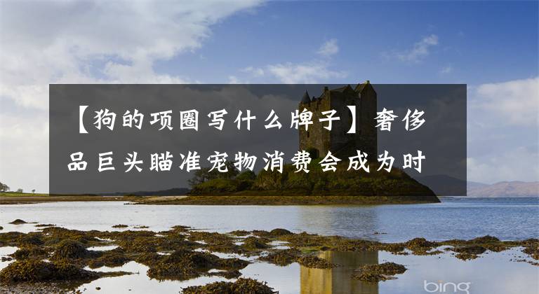 【狗的项圈写什么牌子】奢侈品巨头瞄准宠物消费会成为时尚吗？