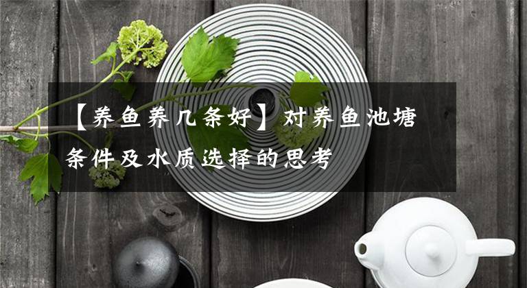 【养鱼养几条好】对养鱼池塘条件及水质选择的思考
