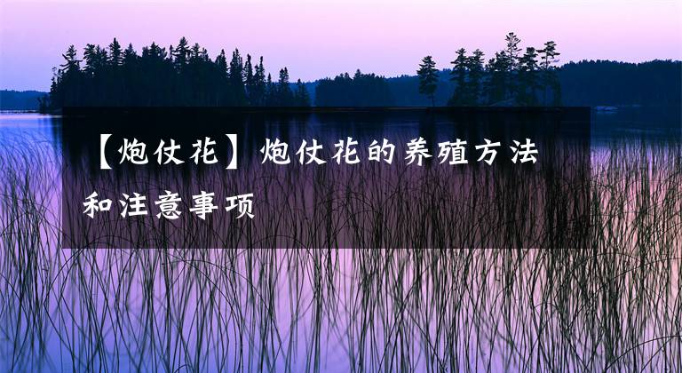 【炮仗花】炮仗花的养殖方法和注意事项