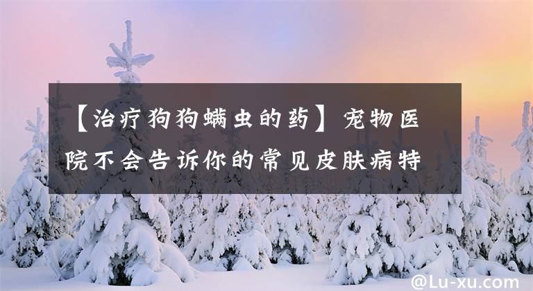 【治疗狗狗螨虫的药】宠物医院不会告诉你的常见皮肤病特效药