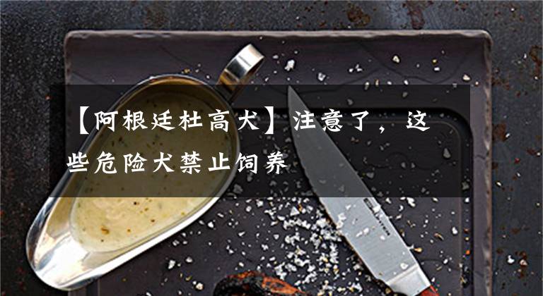 【阿根廷杜高犬】注意了，这些危险犬禁止饲养