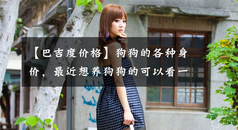 【巴吉度价格】狗狗的各种身价，最近想养狗狗的可以看一下