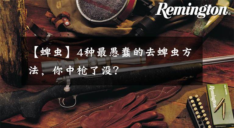 【蜱虫】4种最愚蠢的去蜱虫方法，你中枪了没？