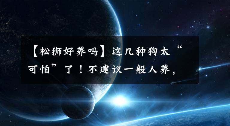【松狮好养吗】这几种狗太“可怕”了！不建议一般人养，怕你承受不来