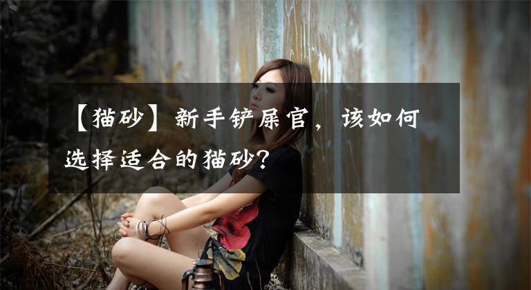 【猫砂】新手铲屎官，该如何选择适合的猫砂？