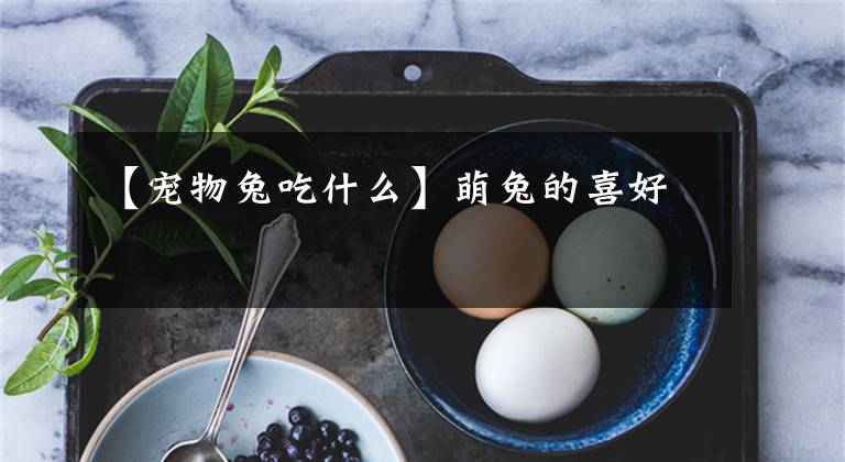 【宠物兔吃什么】萌兔的喜好