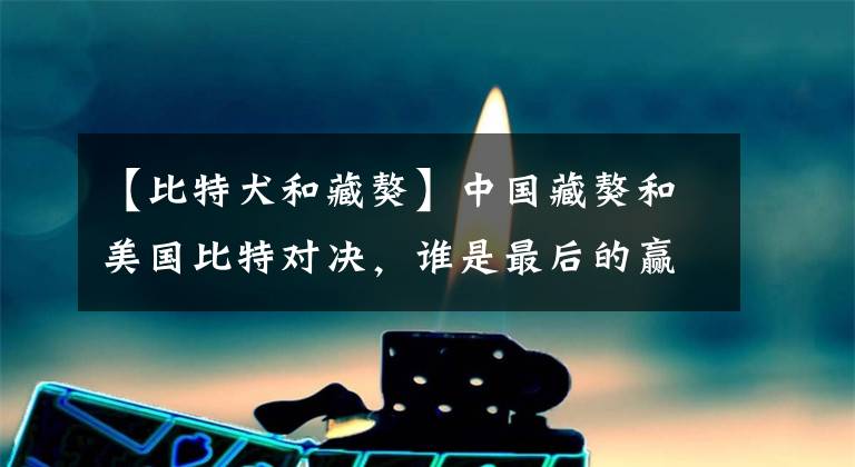 【比特犬和藏獒】中国藏獒和美国比特对决，谁是最后的赢家？观众记录精彩过程