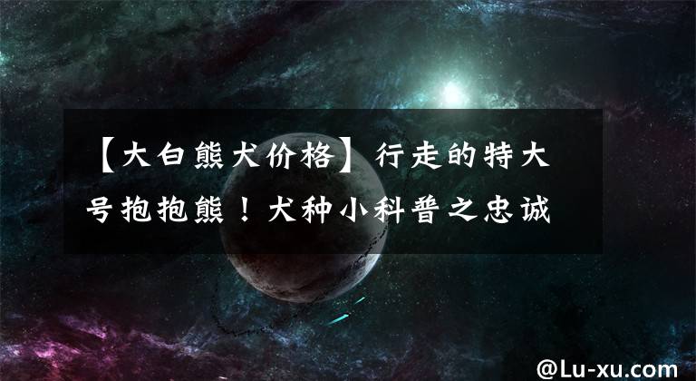 【大白熊犬价格】行走的特大号抱抱熊！犬种小科普之忠诚可靠的大白熊犬！