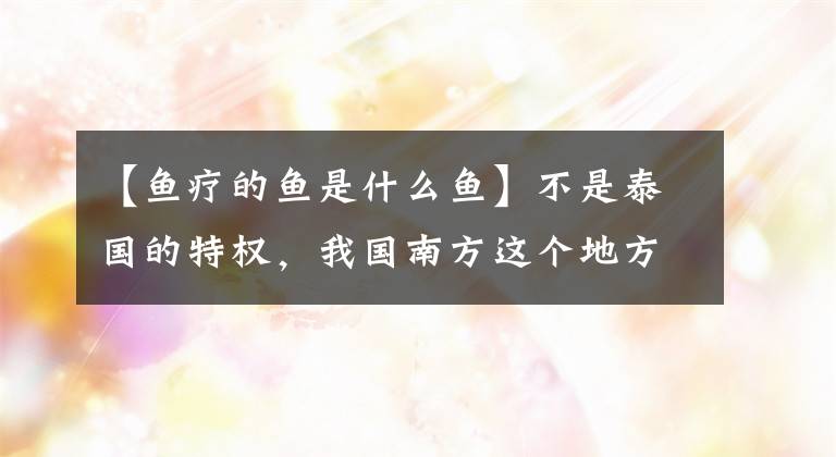 【鱼疗的鱼是什么鱼】不是泰国的特权，我国南方这个地方有免费“鱼疗”