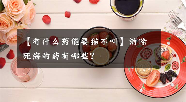 【有什么药能要猫不叫】消除死海的药有哪些？