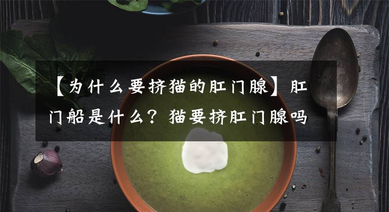 【为什么要挤猫的肛门腺】肛门船是什么？猫要挤肛门腺吗？
