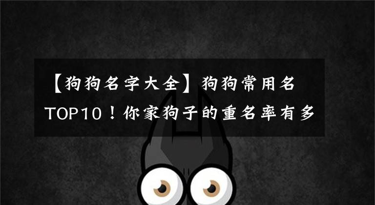 【狗狗名字大全】狗狗常用名TOP10！你家狗子的重名率有多高？
