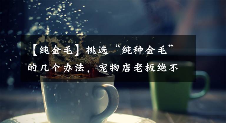 【纯金毛】挑选“纯种金毛”的几个办法，宠物店老板绝不会告诉你