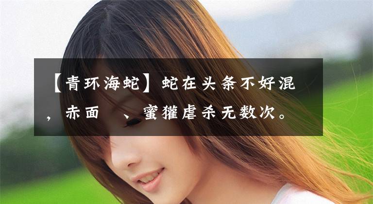 【青环海蛇】蛇在头条不好混，赤面獴、蜜獾虐杀无数次。这时，它老大出手了