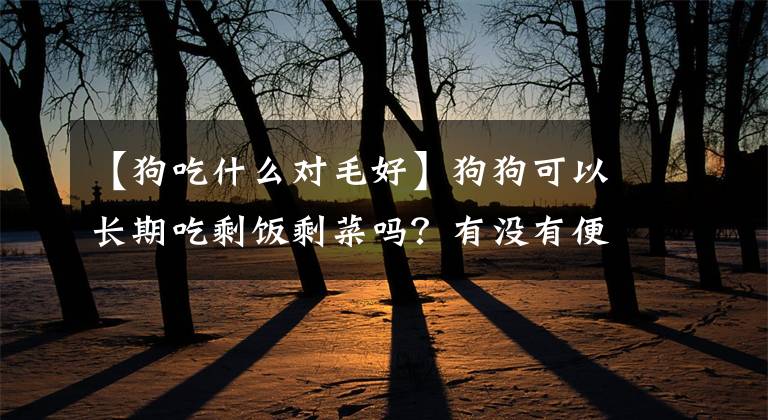 【狗吃什么对毛好】狗狗可以长期吃剩饭剩菜吗？有没有便宜又好的狗粮推荐