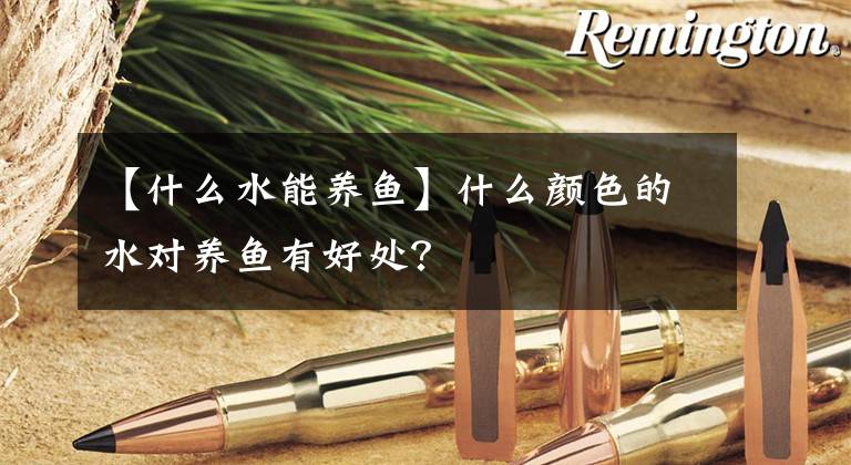 【什么水能养鱼】什么颜色的水对养鱼有好处？