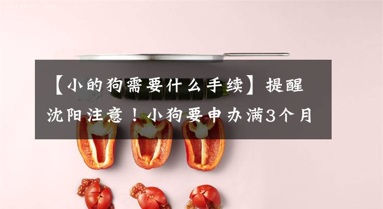 【小的狗需要什么手续】提醒沈阳注意！小狗要申办满3个月的养犬许可证