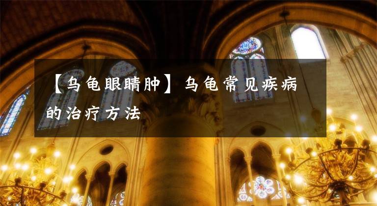 【乌龟眼睛肿】乌龟常见疾病的治疗方法