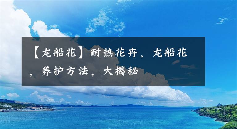 【龙船花】耐热花卉，龙船花，养护方法，大揭秘