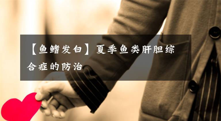 【鱼鳍发白】夏季鱼类肝胆综合症的防治