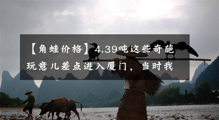 【角蛙价格】4.39吨这些奇葩玩意儿差点进入厦门，当时我就震惊了！