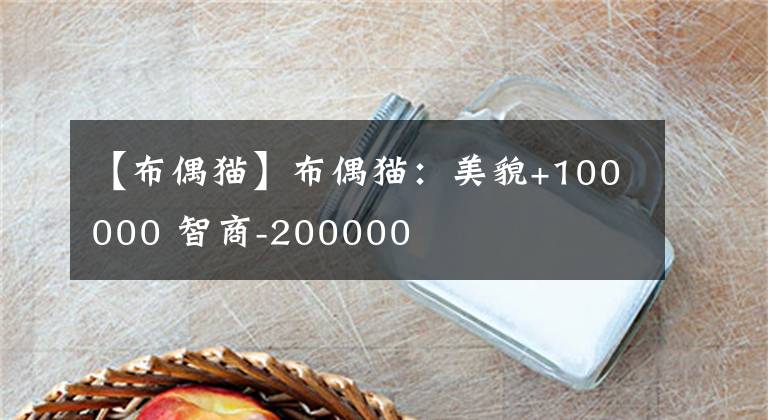 【布偶猫】布偶猫：美貌+100000 智商-200000
