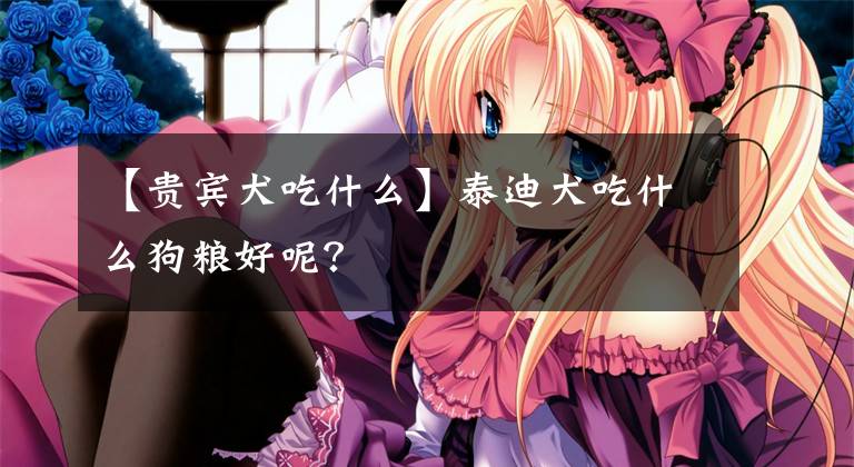【贵宾犬吃什么】泰迪犬吃什么狗粮好呢？