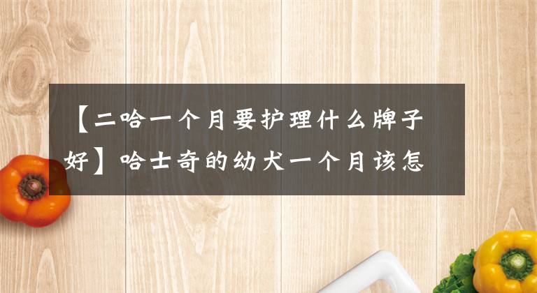 【二哈一个月要护理什么牌子好】哈士奇的幼犬一个月该怎么养？
