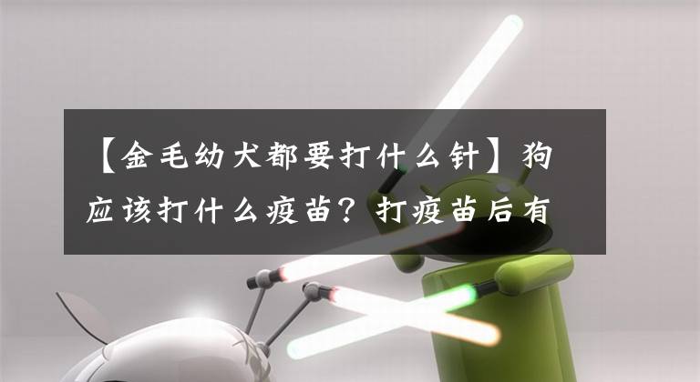 【金毛幼犬都要打什么针】狗应该打什么疫苗？打疫苗后有什么注意事项吗？