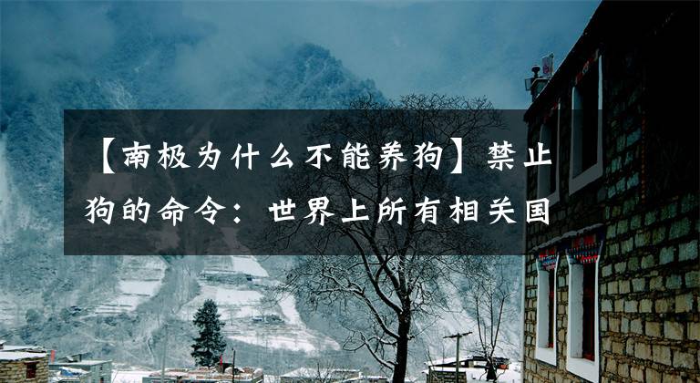 【南极为什么不能养狗】禁止狗的命令：世界上所有相关国家都遵守禁令，向南极提出没有狗的要求