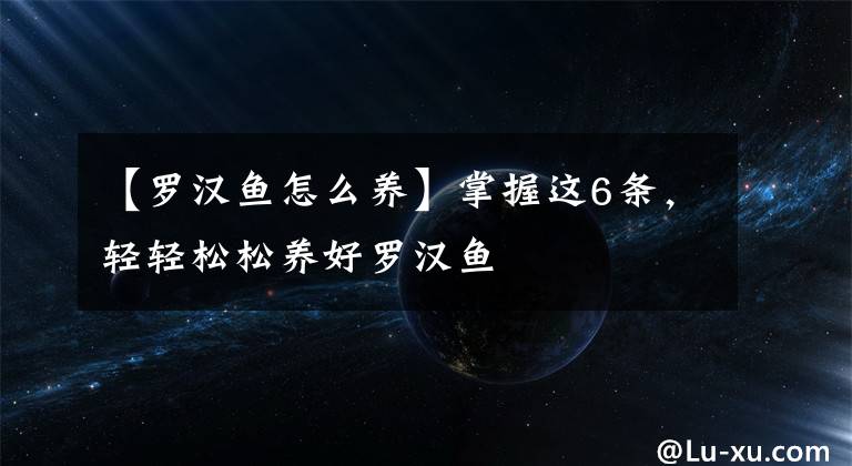 【罗汉鱼怎么养】掌握这6条，轻轻松松养好罗汉鱼