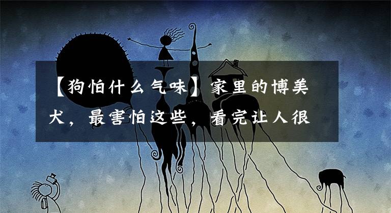 【狗怕什么气味】家里的博美犬，最害怕这些，看完让人很心酸