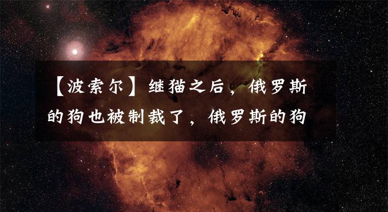 【波索尔】继猫之后，俄罗斯的狗也被制裁了，俄罗斯的狗有哪些品种