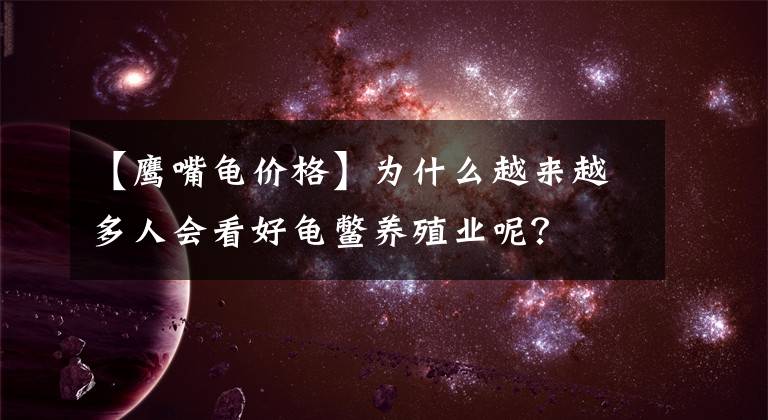 【鹰嘴龟价格】为什么越来越多人会看好龟鳖养殖业呢？
