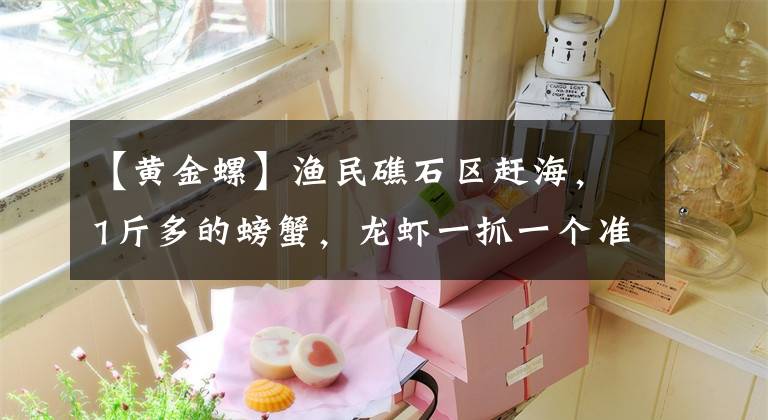 【黄金螺】渔民礁石区赶海，1斤多的螃蟹，龙虾一抓一个准，还捡了颗黄金螺