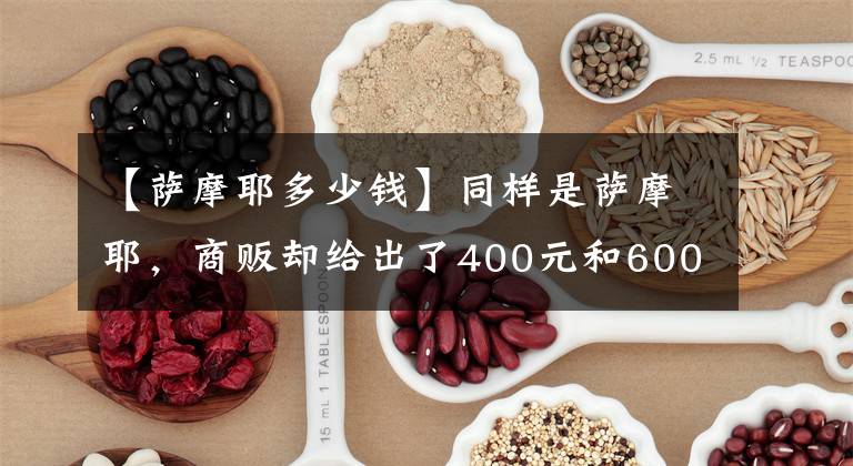 【萨摩耶多少钱】同样是萨摩耶，商贩却给出了400元和600元两个批发价格？