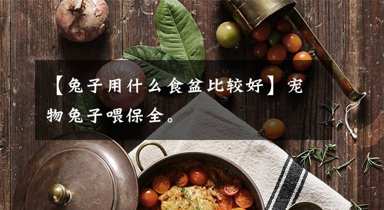 【兔子用什么食盆比较好】宠物兔子喂保全。