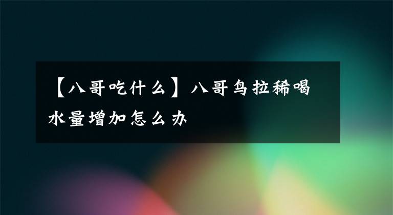 【八哥吃什么】八哥鸟拉稀喝水量增加怎么办