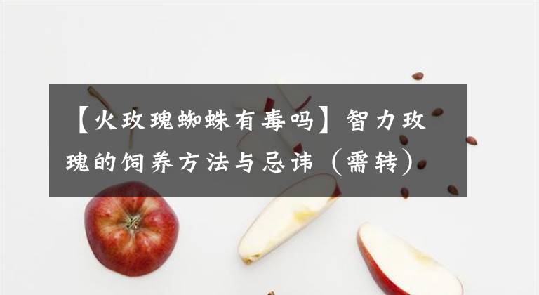 【火玫瑰蜘蛛有毒吗】智力玫瑰的饲养方法与忌讳（需转）！