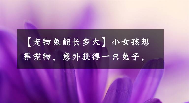 【宠物兔能长多大】小女孩想养宠物，意外获得一只兔子，谁料兔兔长成了巨无霸