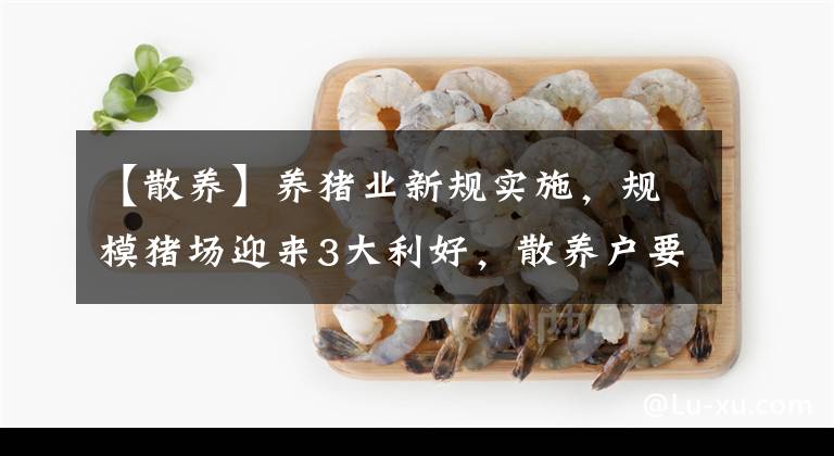 【散养】养猪业新规实施，规模猪场迎来3大利好，散养户要早做准备