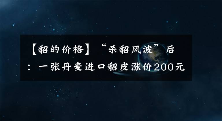 【貂的价格】“杀貂风波”后：一张丹麦进口貂皮涨价200元，一件大衣成本增千元
