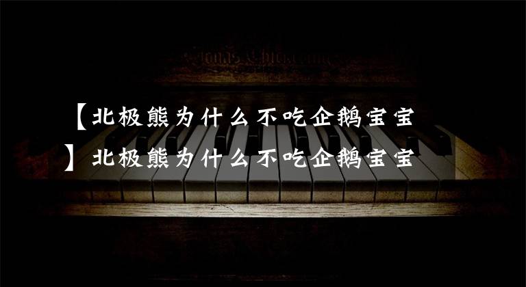 【北极熊为什么不吃企鹅宝宝】北极熊为什么不吃企鹅宝宝呢？