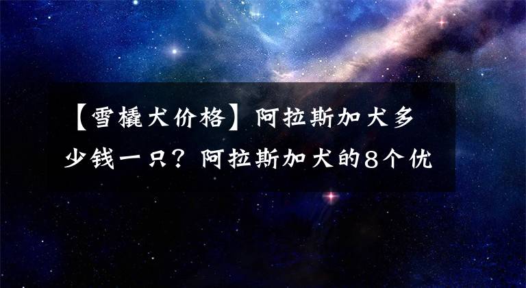 【雪橇犬价格】阿拉斯加犬多少钱一只？阿拉斯加犬的8个优缺点